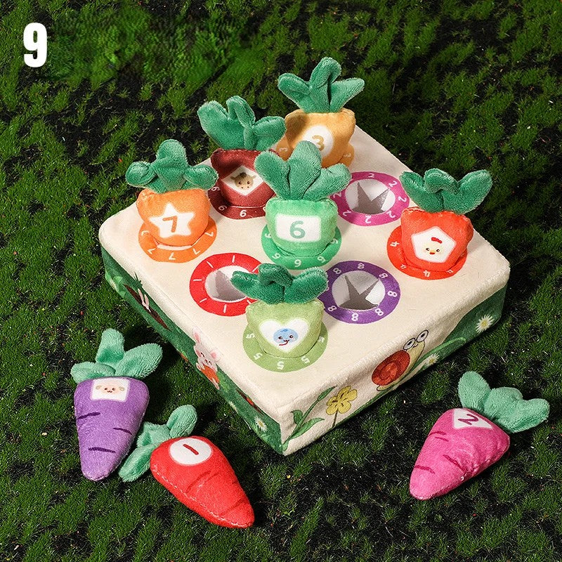 Jouets Montessori pour la motricité fine - Apprentissage des couleurs - Jouets éducatifs pour bébés et tout-petits