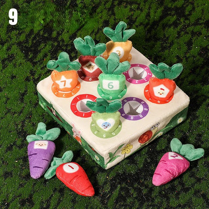 Jouets Montessori pour la motricité fine - Apprentissage des couleurs - Jouets éducatifs pour bébés et tout-petits