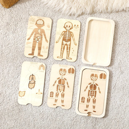 Puzzle d'anatomie en bois - Apprendre l'anglais sur le corps humain