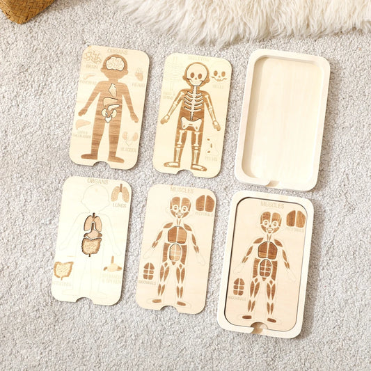 Houten Anatomie Puzzel - Engels Leren over het Menselijk Lichaam