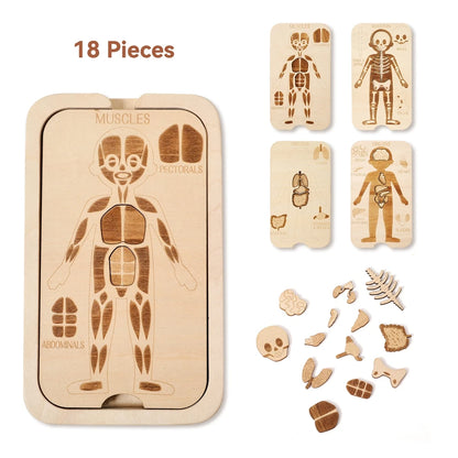 Puzzle d'anatomie en bois - Apprendre l'anglais sur le corps humain