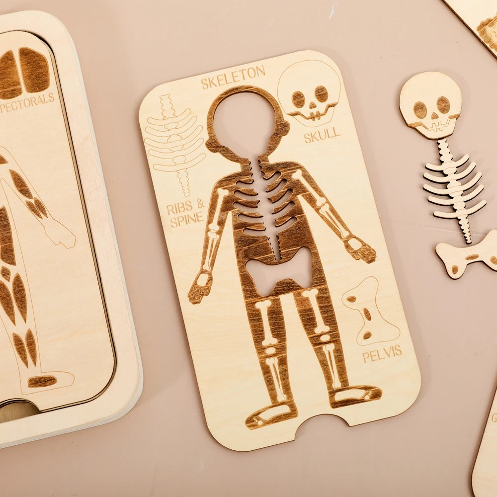 Houten Anatomie Puzzel - Engels Leren over het Menselijk Lichaam